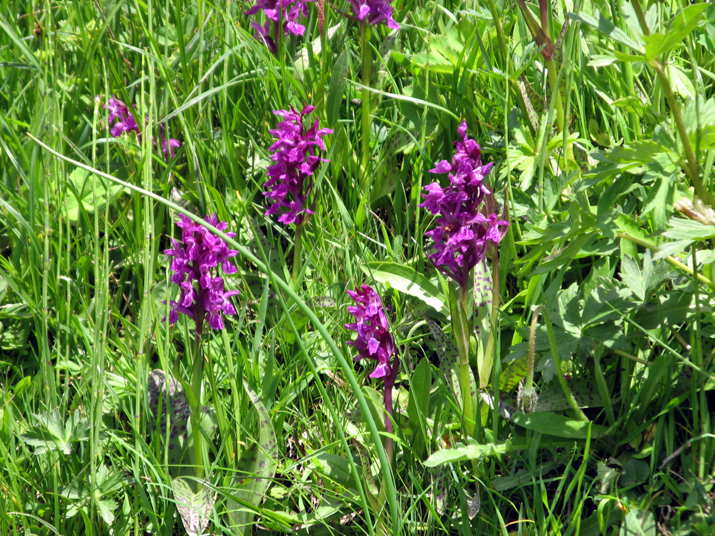 2006-07 Serre-Chevalier 073.jpg